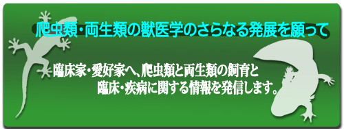 eyecatch_new_500-188